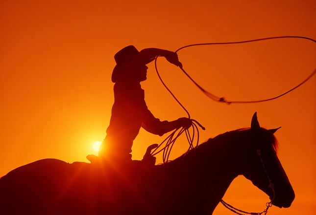 Cowboy on horseback with lasso at sunset